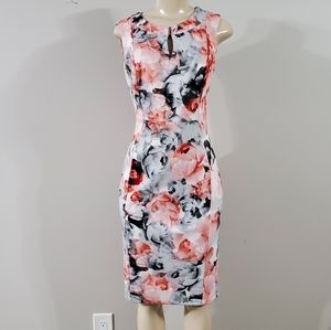 Enfocus Studio | Floral sheath dress size 4